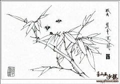 来了laile2022采集到植物