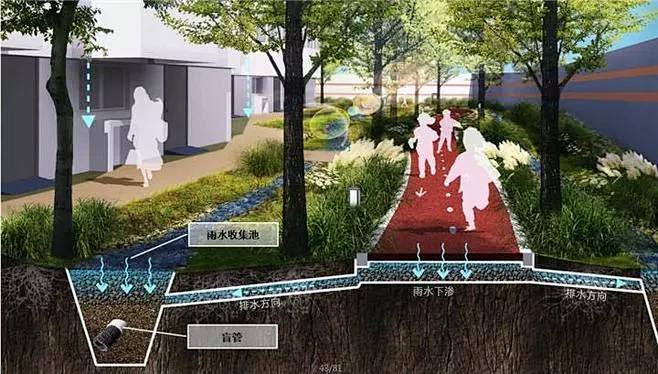 海绵城市/雨水花园