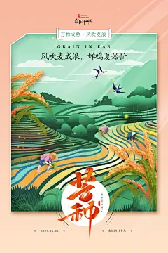 芒种节气夏天6月夏季稻穗麦田宣传海报