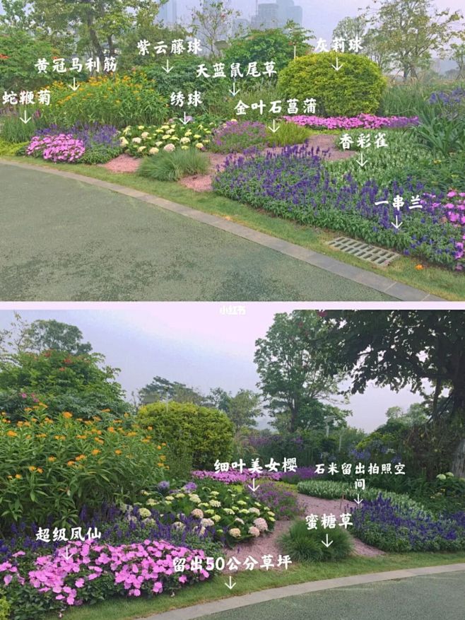 深圳前海紫荆园花境|紫色系花境 : 1....