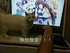 “快给我变”表情包走红，来分享一只我超喜欢的猫娘