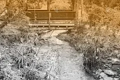 橘色的灯光下美丽的自然景色