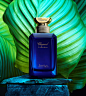 Vetiver d'Haiti au The Vert Chopard perfume - a new fragrance for women and men 2017 : "Chopard’s new High Perfumery Chopard Collection has been presented in Cannes during an event co-hosted by Livia and Colin Firth and Caroline Scheufele, co-preside