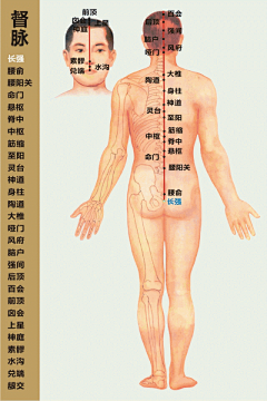 醉梦浮尘采集到医学