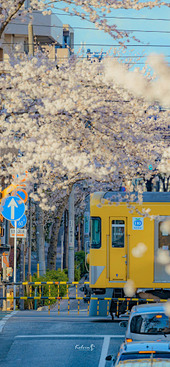 梨花夜语采集到旅行