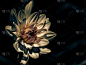 Isloated头状花序。
