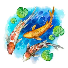 锦鲤  - 源文件下载【酷图网】锦鲤,矢量锦鲤,卡通锦鲤,手绘锦鲤,锦鲤插画,锦鲤插图,水彩锦鲤,荷叶,莲花,海洋海报,大海,大海元素,大海素材,大海背景,海水,海水背景,卡通海水,水纹,蓝天白云,鱼,矢量鱼,卡通鱼,鱼插画,鱼插图,金鱼,观赏鱼,水彩鱼,水彩金鱼,水彩花朵,海洋生物,卡通海洋生物,海洋生物合集,池塘