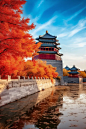 秋季中国北京故宫屋檐落叶景色摄影图