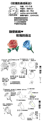 《玫瑰的速成画法》 教程原网-美术教室