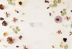 鲜花的背景。由干花和桉树叶图案组成的白色背景。俯视图，平放。本空间