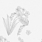 Diptyque花园