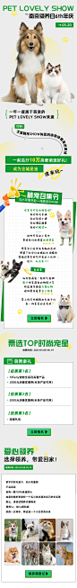 宠物 宠物领养 微信推文 微信长图