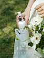 @半亩花田 的个人主页 - 微博