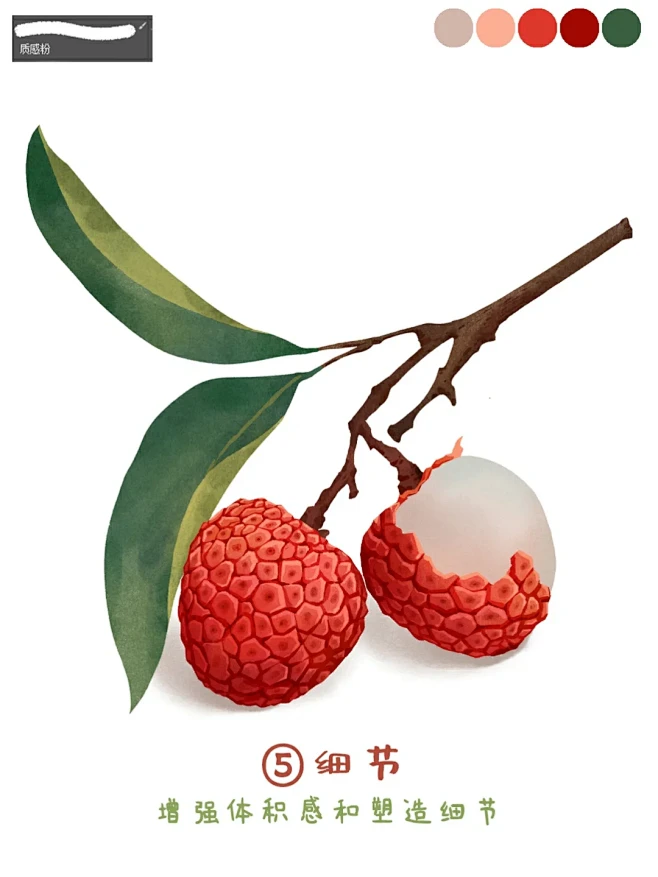荔枝画法‖小物件插画教程