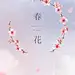 春天春季鲜花海报