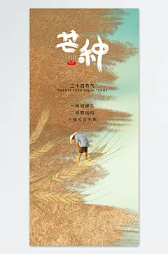 芒种节气精致创意海报