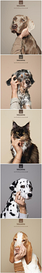 这是法国的一个宠物护理品牌Biocanina的创意广告，宠物身上容易滋生各种寄生虫，当他们抓耳挠腮的时候并不是在卖萌，请如同爱护自己一样爱护它。