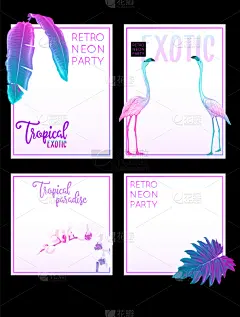 贺卡,四只动物,光亮,干酪藤,壁纸,鸟类,植物,夏天,阿罗哈,花