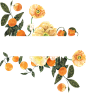 手绘植物花卉花朵复古元素