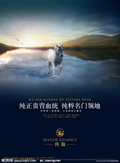 平面---晑陽采集到地产报广