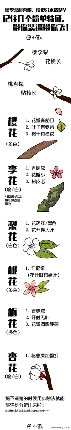 太多空白采集到手绘