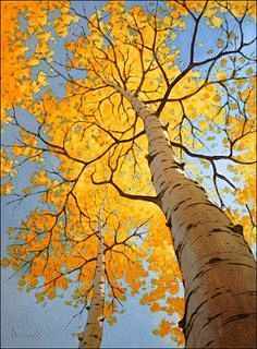 (605) Pinterest