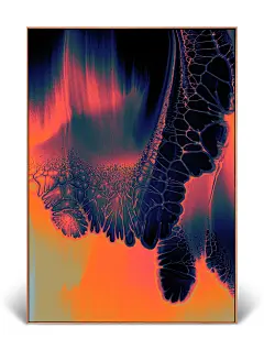 Venation