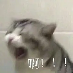 沙雕表情包