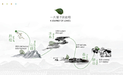 Bqbv4Orm采集到创意