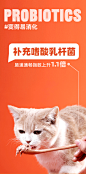 Furfurland毛星球猫罐头主食罐鲜肉小红罐全价幼成猫湿粮美毛补水-tmall.com天猫