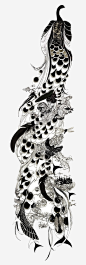 孔雀_新图网 https://ixintu.com 手绘 黑白 孔雀 羽毛