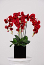 House of Silk Flowers Triple-stem Silk Phalaenopsis Orchid Arrangement Red: 