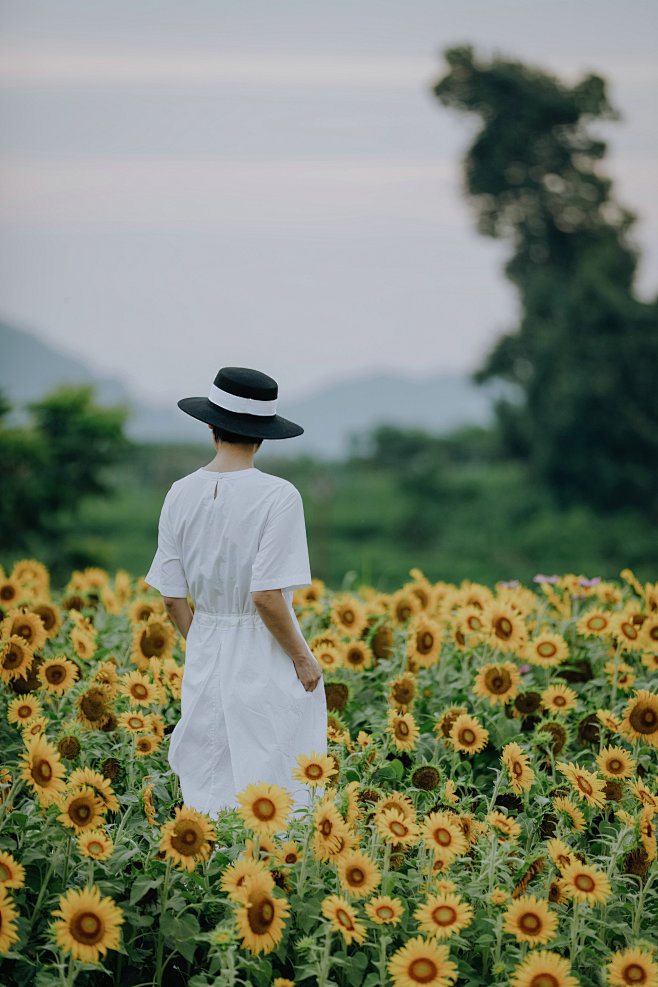 花季