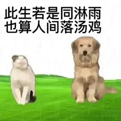 有病表情包_8_六六_来自小红书网页版
