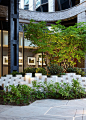 Lantern House | Hollander Design : A private shade garden designed as serene respite from the city beneath the heart of the High Line.