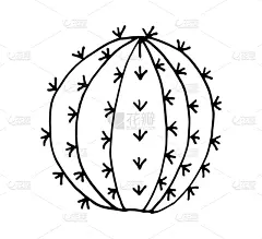 手,卡通,绘画插图,仙人掌,乱画,矢量,绘制