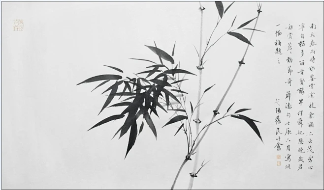 墨竹-花瓣网