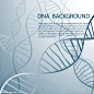 基因DNA