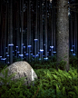 Fern for Francesca (2012) The Landscape Art of Barry Underwood: 