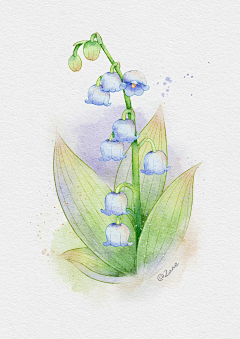 小岛yaya采集到插画素材