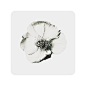 Porcelain Flowers on Behance