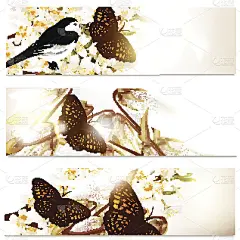 印有蝴蝶图案的印花名片