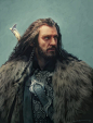 Thorin by *euclase on deviantART