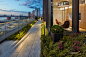 55 Hudson Yards | Hollander Design