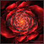 Red, red rose by *Liuanta on deviantART