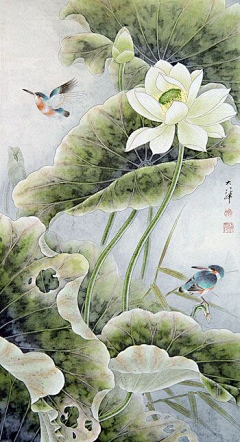 小小梦笙采集到ღ 一花一世界 ღ