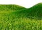 草