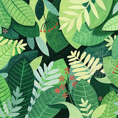 蓉儿Angla采集到插画-植物