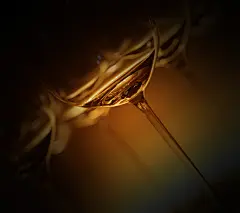 至美壁纸 静 • 黑 • 纯手机壁纸贴图