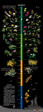 来年一起赏花去~ - 自然控小组 - 果壳网 guokr.com